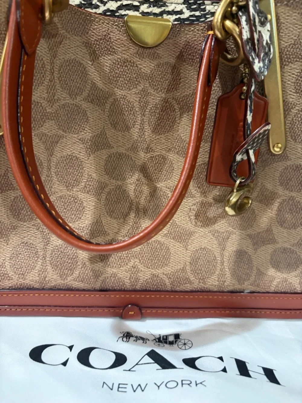 Coach Dreamer signature canvas, snake skin satchel - Picture 4 of 8